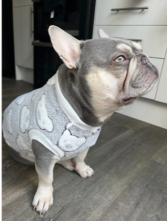 Grey Teddy fleece jumper